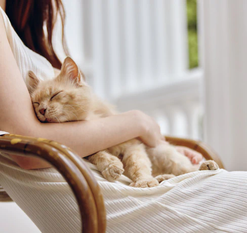 A person in a white dress sits on a wooden chair, gently cradling a sleeping orange cat in their arms on a bright, peaceful porch.