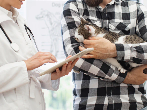A veterinarian in a white coat holds a tablet and talks to a man in a plaid shirt who is holding a relaxed cat in his arms.