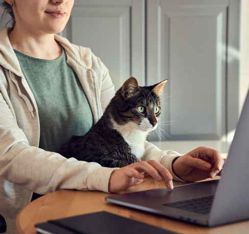 A person in a light hoodie works on a laptop at a table while a tabby cat sits on their lap, looking attentively at the screen.